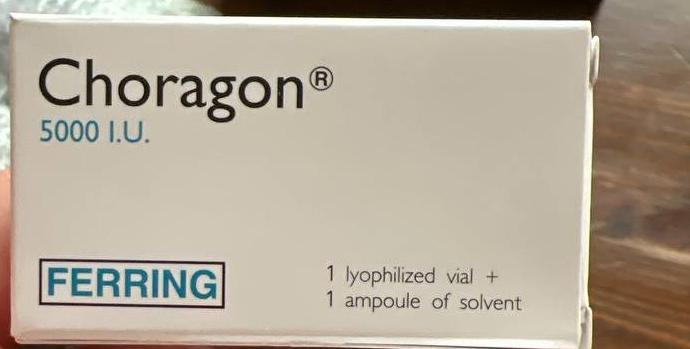 choragon